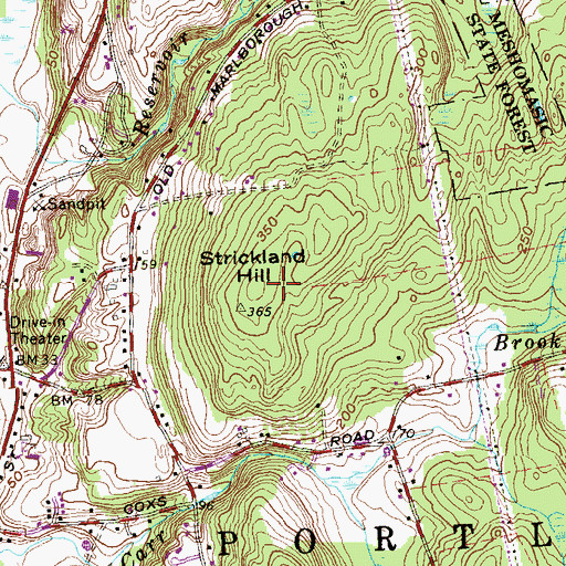 Topographic Map of Strickland Hill, CT