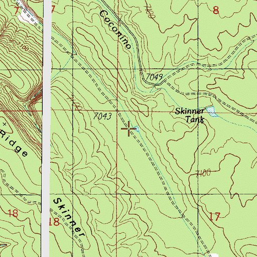 Topographic Map of Skinner Pasture Tank, AZ