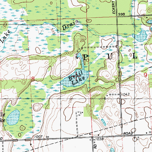 Topographic Map of Brail Lake, MI