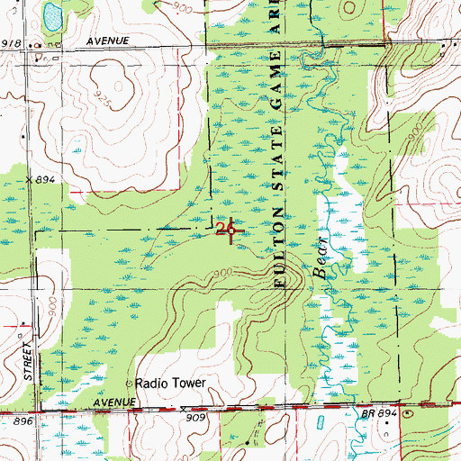 Topographic Map of Fulton State Game Area, MI