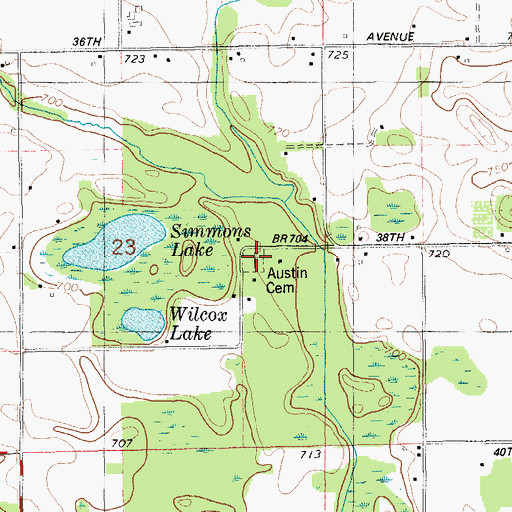 Topographic Map of Austin Cemetery, MI