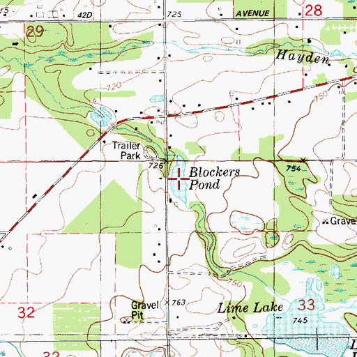 Topographic Map of Blockers Pond, MI