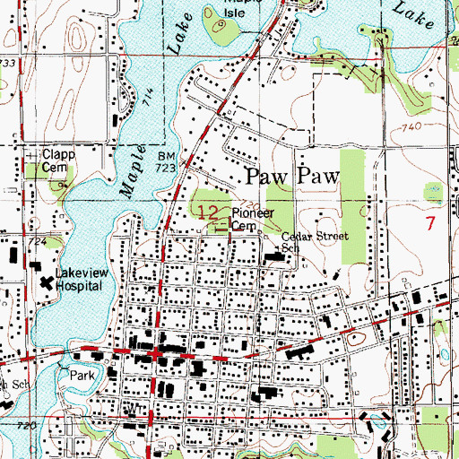 Topographic Map of Pioneer Cemetery, MI