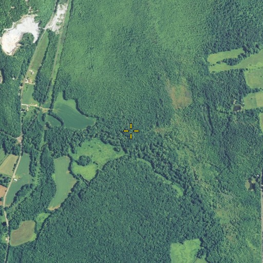 Aerial/Satellite Image of Swamp Brook, CT