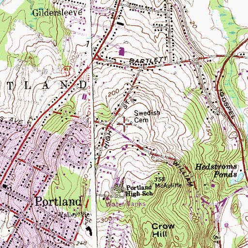 Topographic Map of Swedish Cemetery, CT