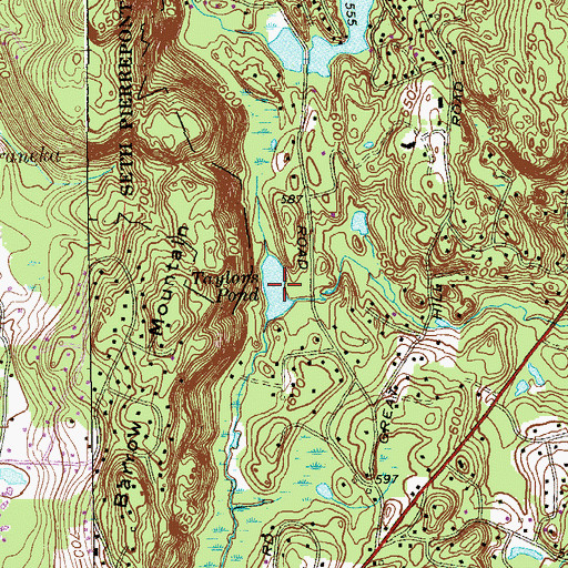Topographic Map of Taylors Pond, CT