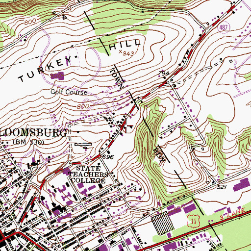 Topographic Map of Diana Van Fleet Mitchell House, PA