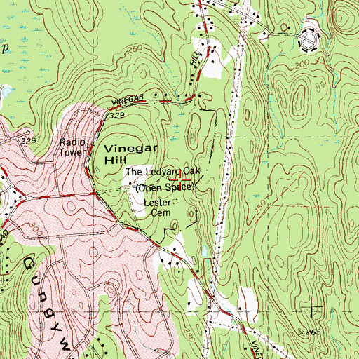 Topographic Map of The Ledyard Oak, CT