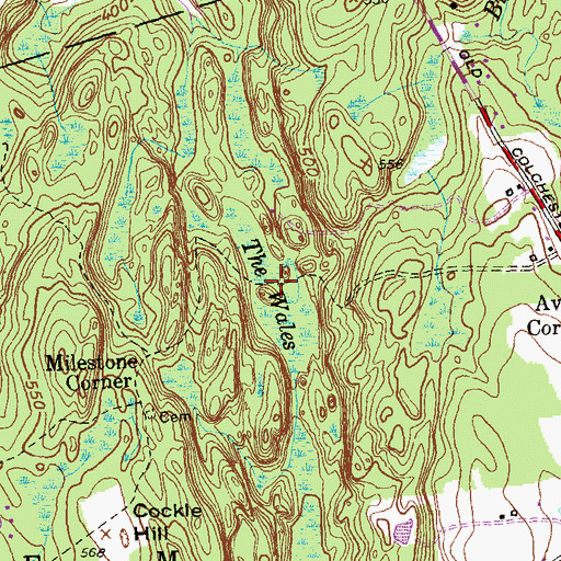 Topographic Map of The Wales, CT