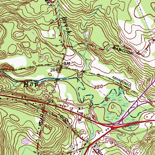 Topographic Map of Thornton Brook, CT