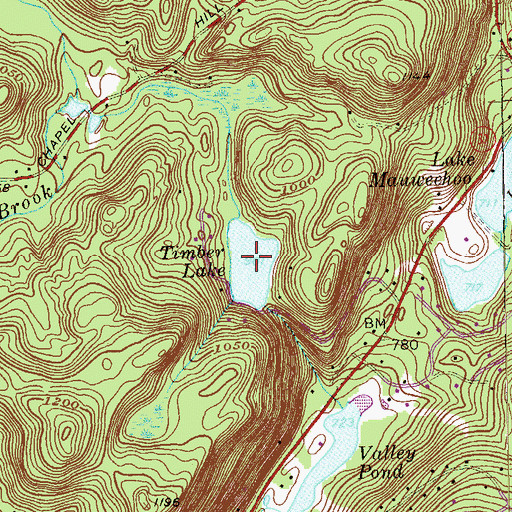 Topographic Map of Timber Lake, CT