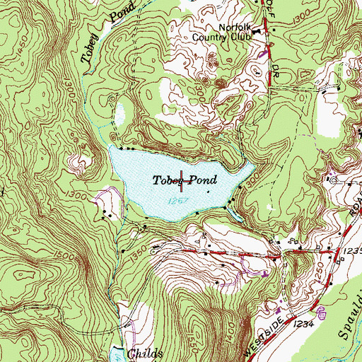 Topographic Map of Tobey Pond, CT