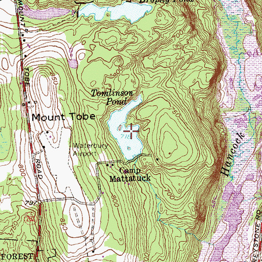 Topographic Map of Tomlinson Pond, CT