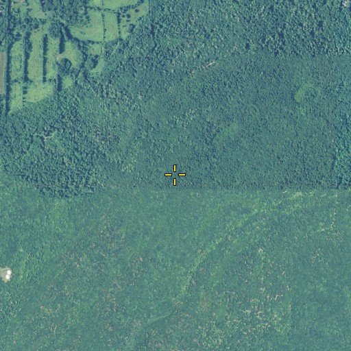 Aerial/Satellite Image of Totoket Mountain, CT