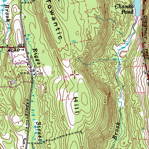 Topographic Map of Towantic Hill, CT