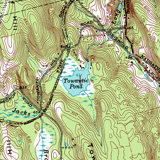 Topographic Map of Towantic Pond, CT