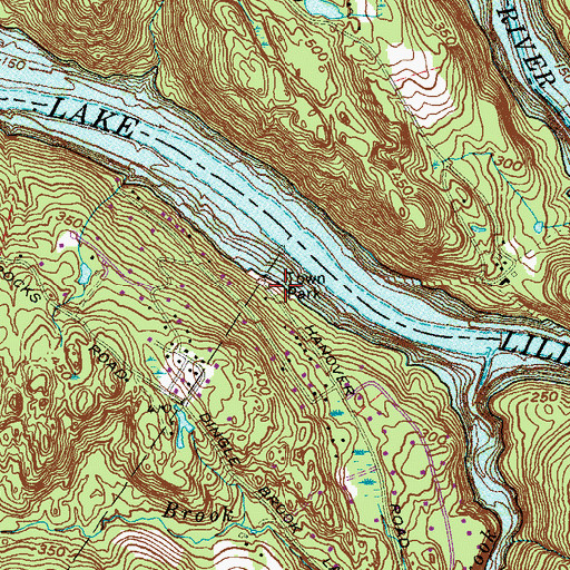 Topographic Map of Town Park, CT