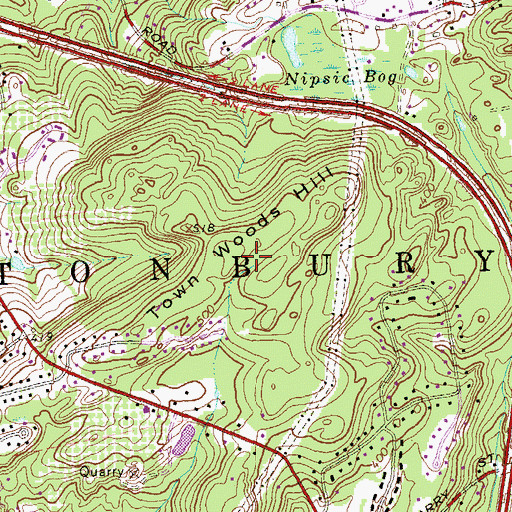 Topographic Map of Town Woods Hill, CT