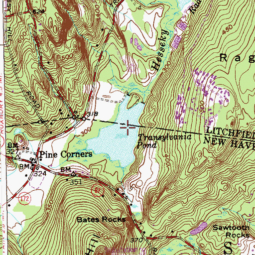Topographic Map of Transylvania Pond, CT