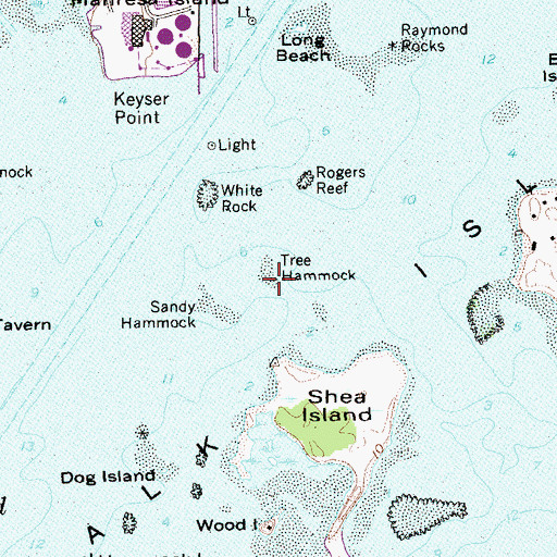 Topographic Map of Tree Hammock, CT