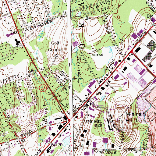 Topographic Map of Trout Brook, CT