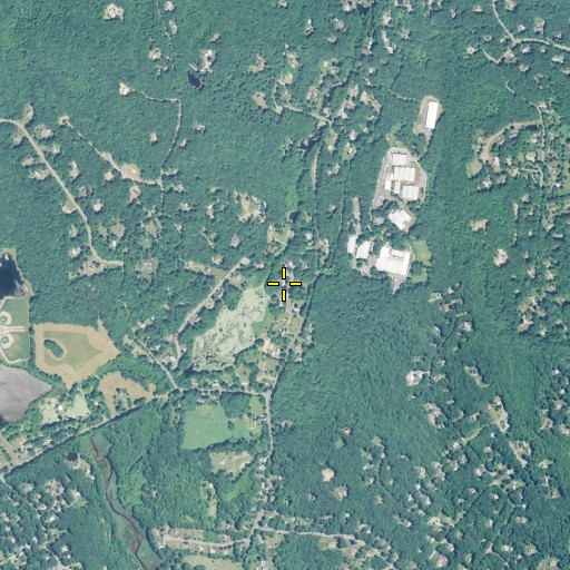 Aerial/Satellite Image of Trout Brook, CT