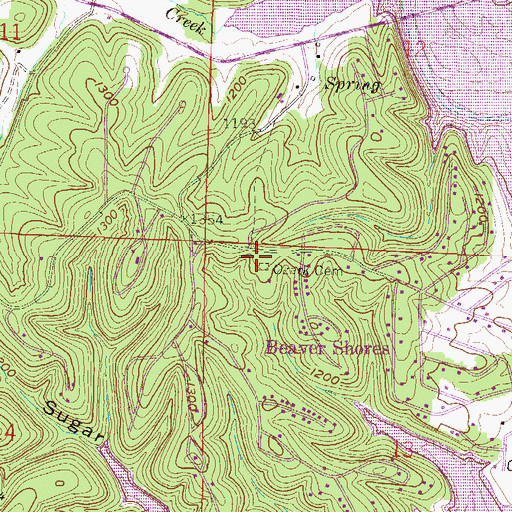 Topographic Map of Beaver Lake Fire Department, AR