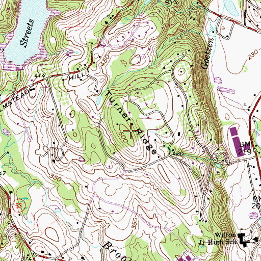 Topographic Map of Turner Ridge, CT