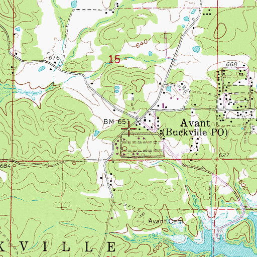Topographic Map of Buckville Volunteer Fire Station 1, AR
