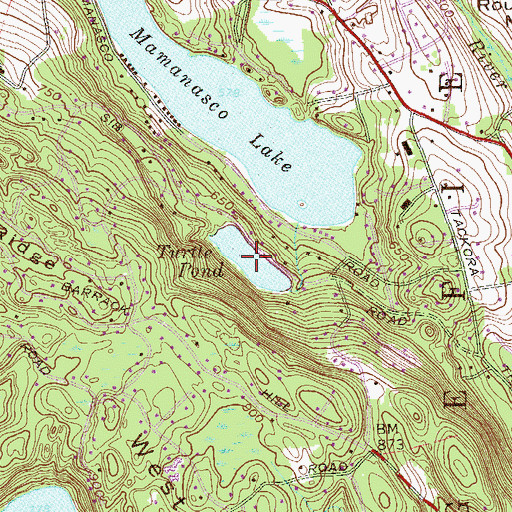 Topographic Map of Turtle Pond, CT