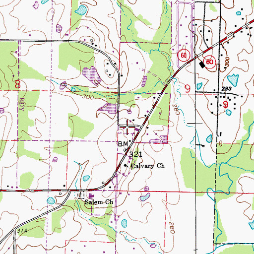 Topographic Map of Conway Fire Department Station 5, AR