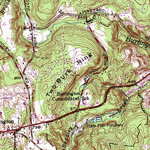 Topographic Map of Two Buck Ring, CT