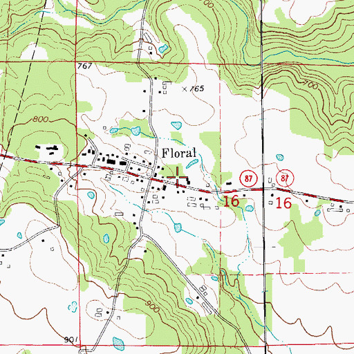 Topographic Map of Floral Fire Station, AR