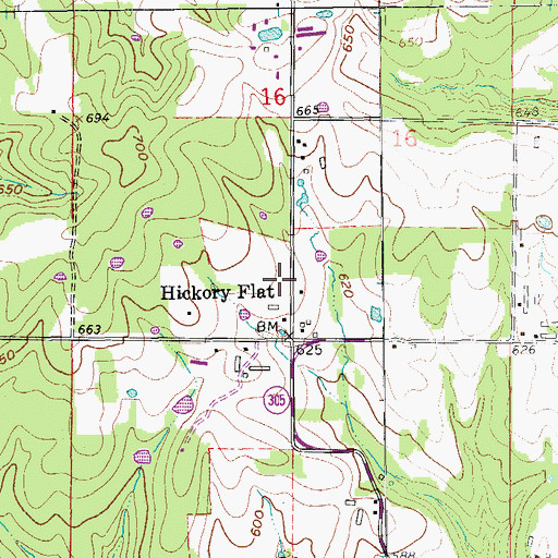 Topographic Map of Hickory Flat Volunteer Fire Department, AR