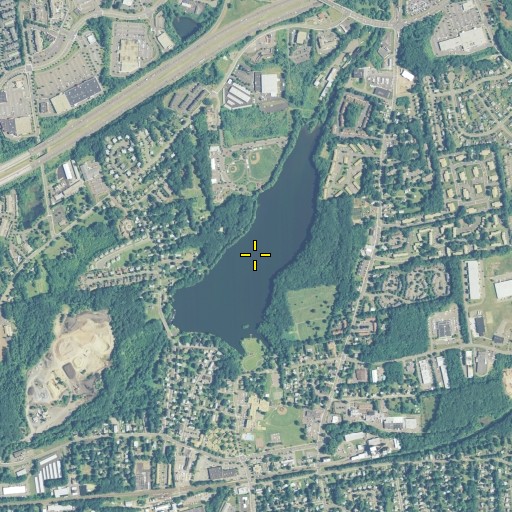 Aerial/Satellite Image of Union Pond, CT