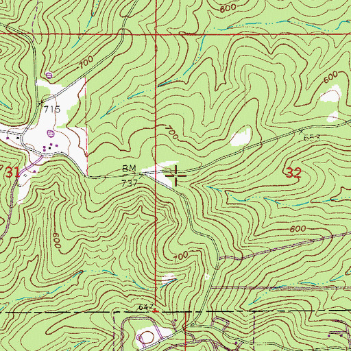 Topographic Map of Nine Mile Ridge Volunteer Fire Department, AR