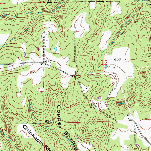 Topographic Map of Pine Snag Volunteer Fire Department Main Station, AR