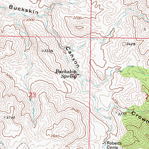 Topographic Map of Buckskin Spring, AZ