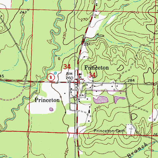 Topographic Map of Tulip - Princeton Fire Department, AR
