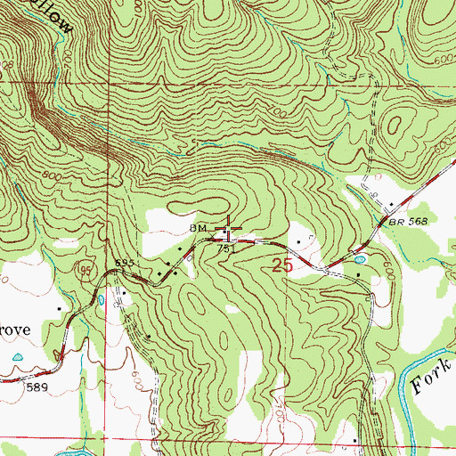Topographic Map of Walnut Grove Volunteer Fire Department, AR