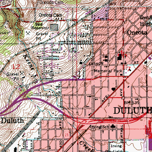 Topographic Map of Elim Lutheran Church, MN