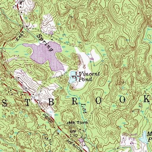 Topographic Map of Vincent Pond, CT