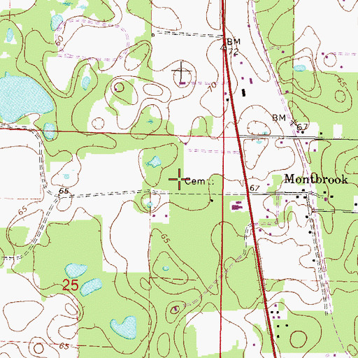 Topographic Map of Sistrunk Family Cemetery, FL