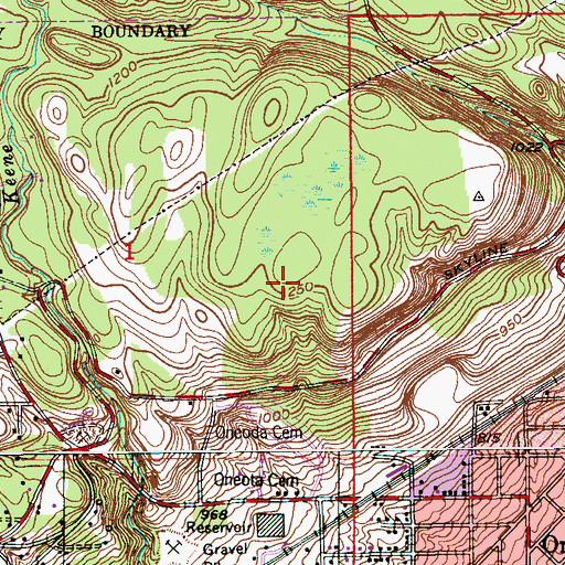 Topographic Map of Brewer Park, MN