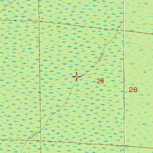 Topographic Map of Whiteface River State Forest, MN