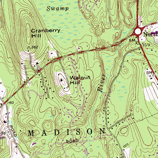 Topographic Map of Walnut Hill, CT