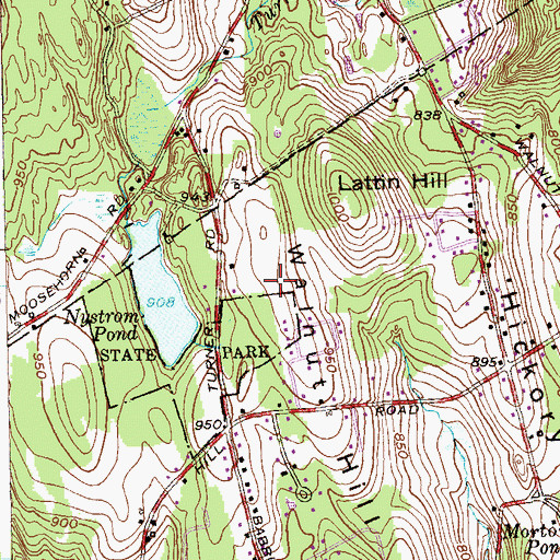 Topographic Map of Walnut Hill, CT