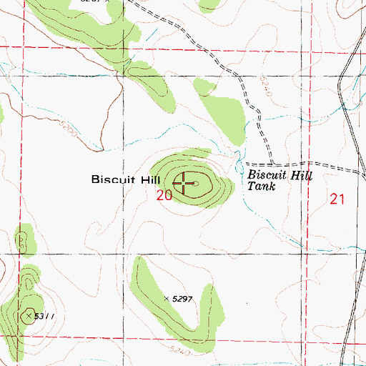 Topographic Map of Biscuit Hill, AZ