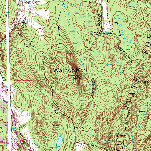 Topographic Map of Walnut Mountain, CT