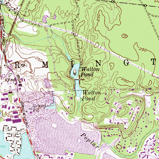 Topographic Map of Walton Pond, CT